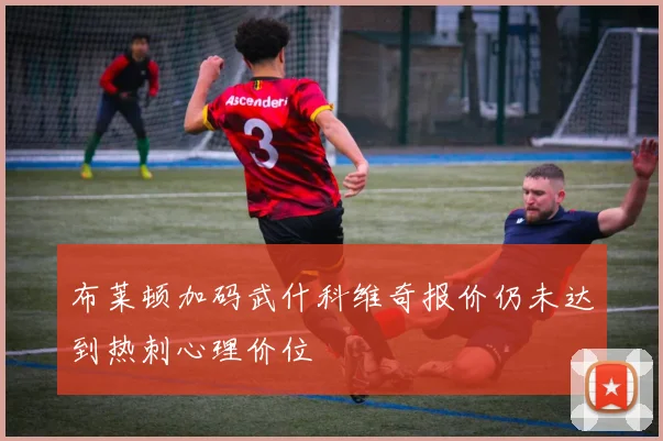 布莱顿加码武什科维奇报价仍未达到热刺心理价位
